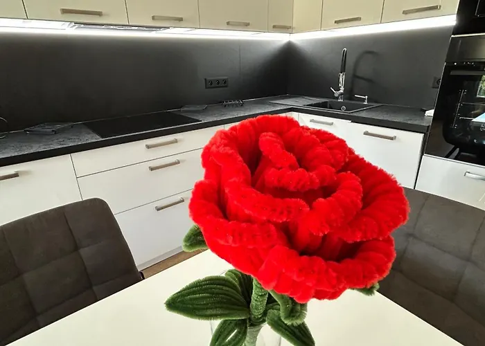 New Apartment, Close Center, Free Parking Appartement *